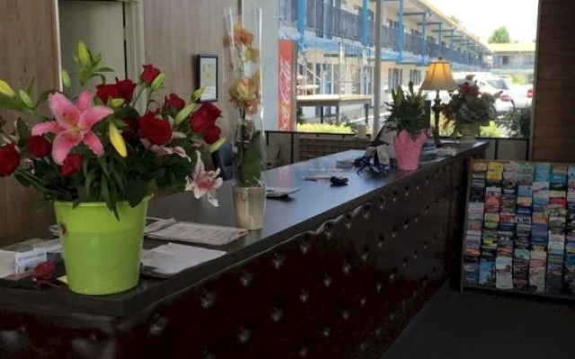 photo 3 of El Cortez Lodge