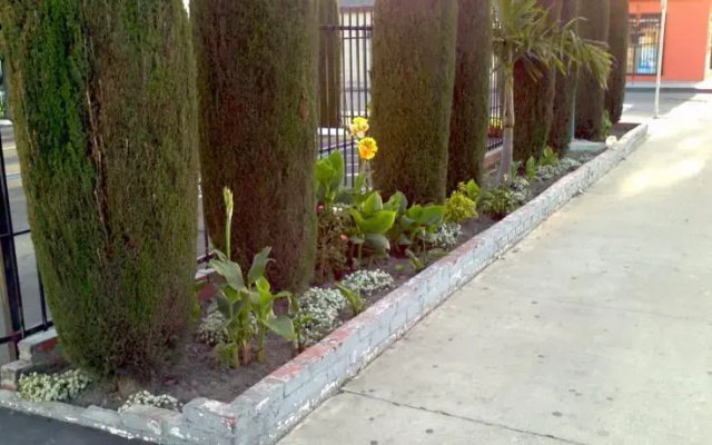 photo 2 of El Monte Motel