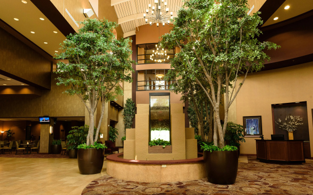 photo 2 of Embassy Suites by Hilton Minneapolis North