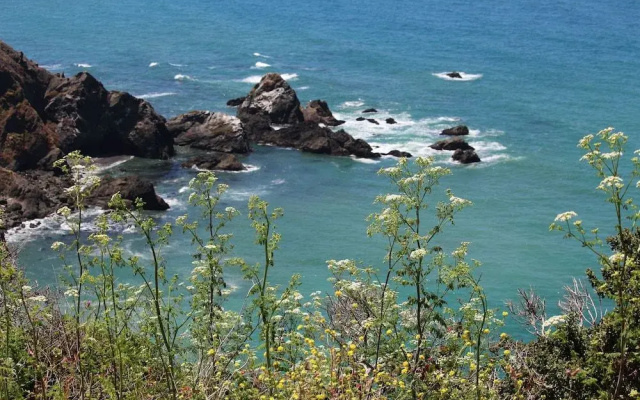 photo 3 of Emerald Cove II