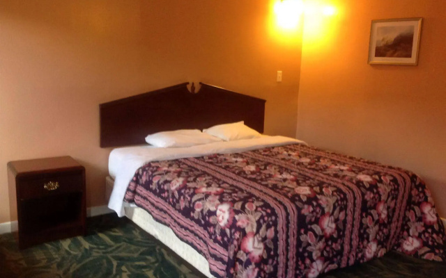 photo 3 of Eny's Hotel