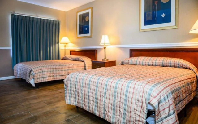photo 4 of Executive Economy Lodge