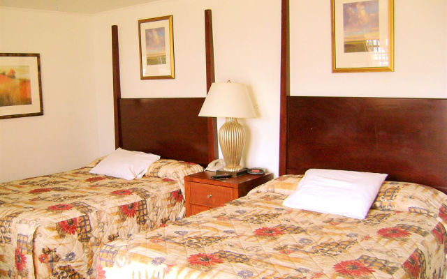 photo 2 of Executive Inn & Suites