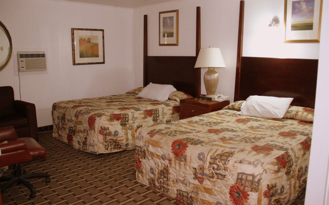 photo 4 of Executive Inn & Suites