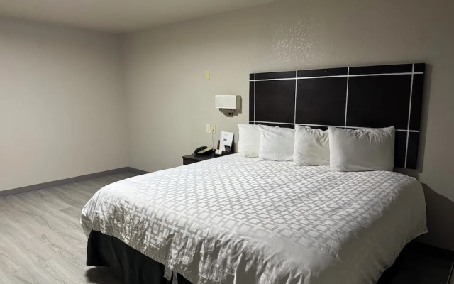 photo 3 of Executive Inn Crystal City