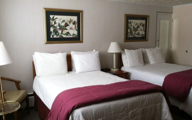 photo 2 of Exit 41Travel Inn