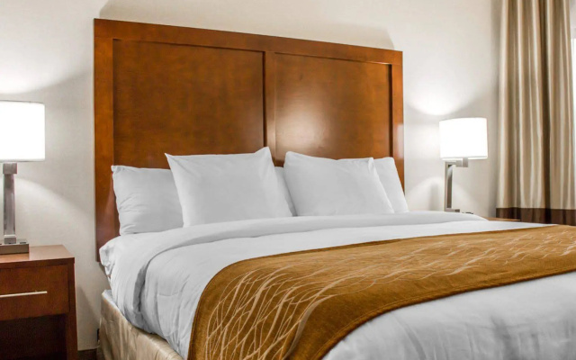photo 5 of Comfort Inn Syosset-Long Island