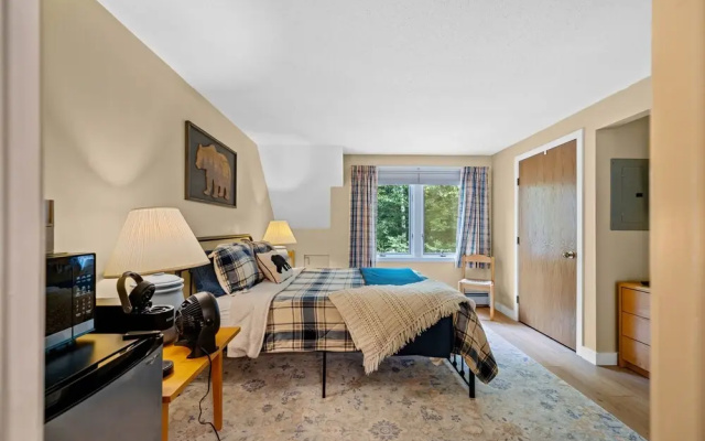 photo 5 of Fall Line Small Studio - Perfect For Two - On Shuttle Route W/ Amenities G6a 1 Bedroom Condo