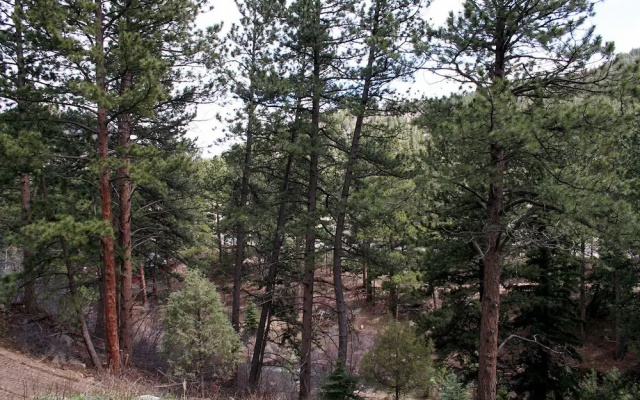 photo 5 of Fawn Valley Inn: 105