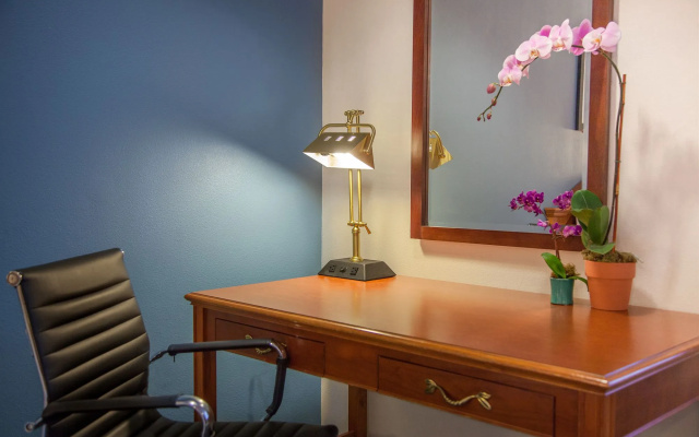 photo 5 of Federal City Inn & Suites