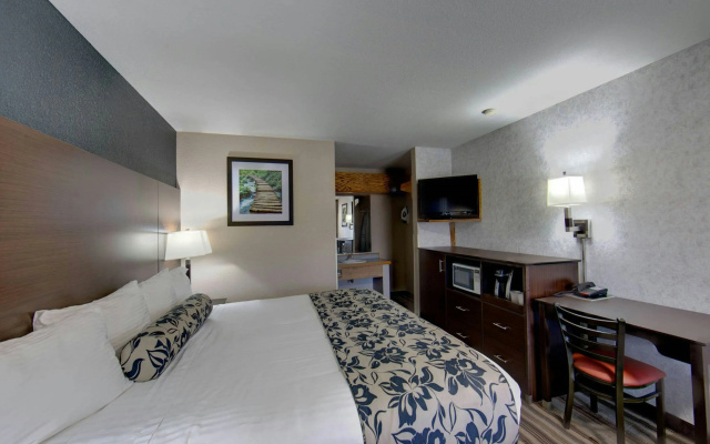photo 4 of Prospero's Flagship Inn