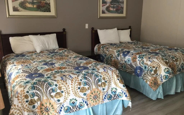 photo 5 of Flamingo Inn