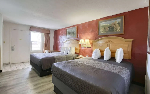 photo 4 of Super 8 by Wyndham Newcastle