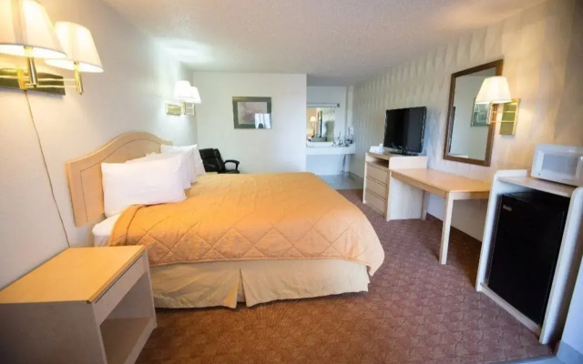 photo 5 of Super 8 by Wyndham Newcastle