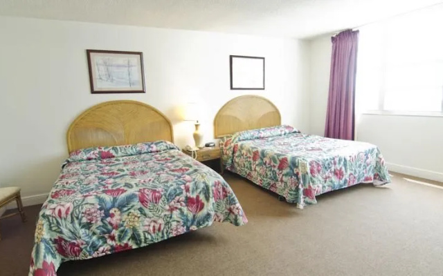 photo 4 of Four Ambassadors Apartments