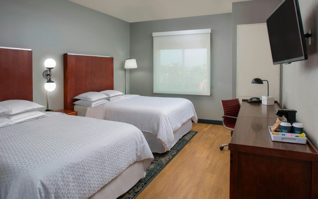 photo 3 of Four Points by Sheraton Houston Hobby Airport