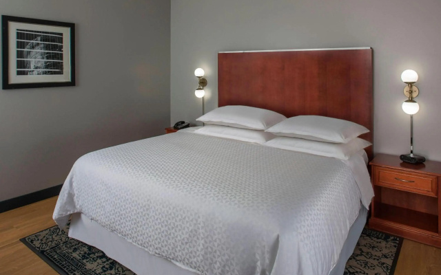 photo 5 of Four Points by Sheraton Houston Hobby Airport