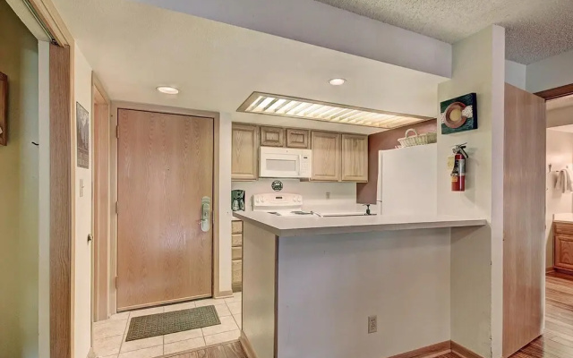 photo 2 of Beautiful Condo, Ski Out Your Back Door - FP202 by RedAwning