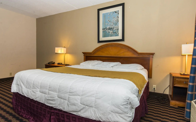 photo 4 of Garden Inn