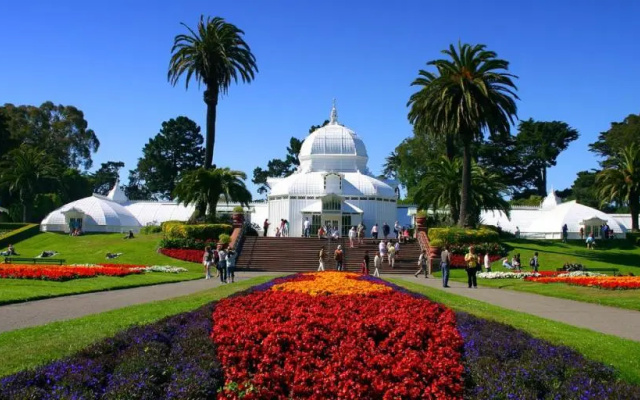 photo 2 of Golden Gate Park Suite