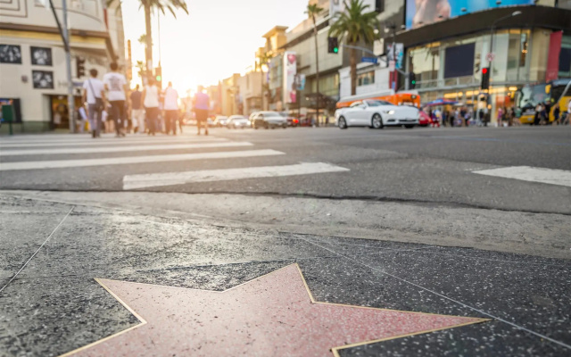 photo 4 of Gorgeous Hollywood Living