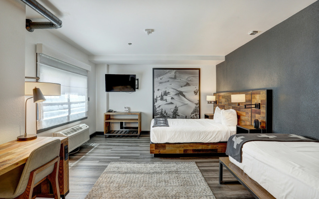 photo 4 of Gravity Haus