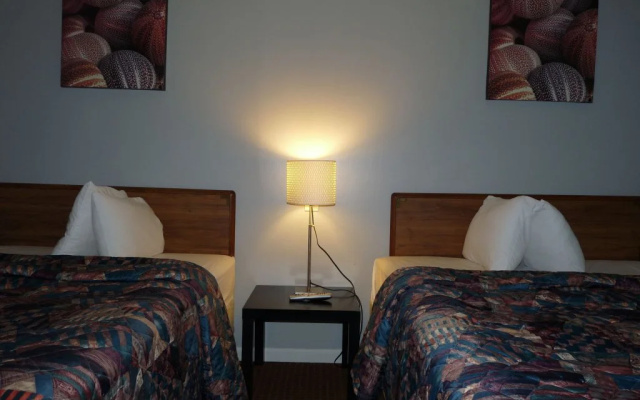 photo 3 of Great Lakes Motel