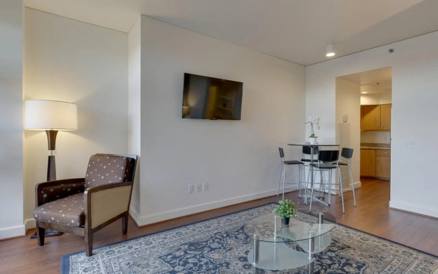 photo 3 of Great spacious Apartment - Downtown Location