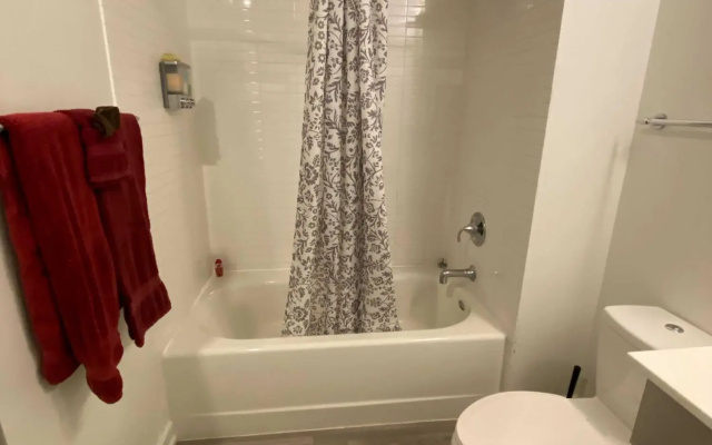 photo 5 of Great Value 1BR Apt in Downtown Dallas