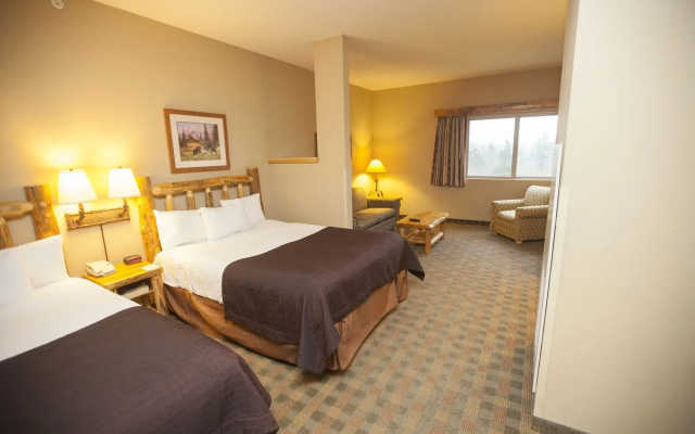 photo 3 of Great Wolf Lodge Concord