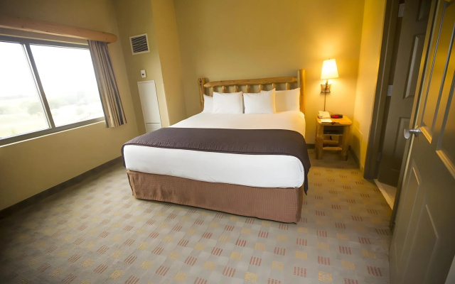 photo 4 of Great Wolf Lodge Grapevine