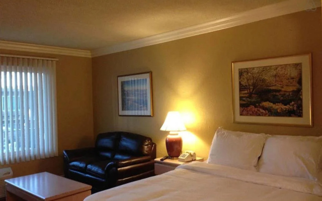 photo 5 of Guest House