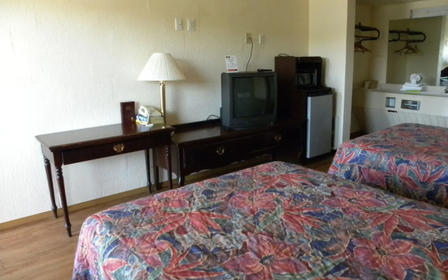 photo 5 of Guest Inn