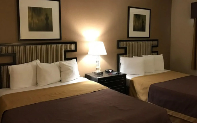 photo 4 of Hotel Saddleback