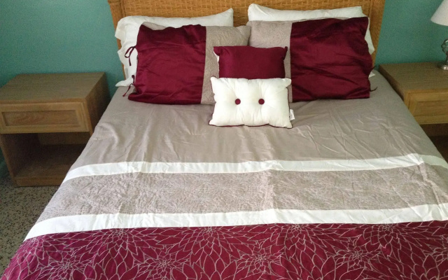 photo 4 of Casa Limonada Boutique Motel