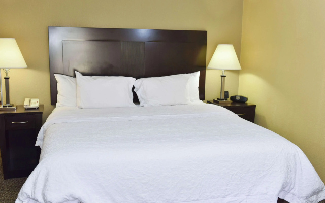 photo 4 of Hampton Inn & Suites Alexandria