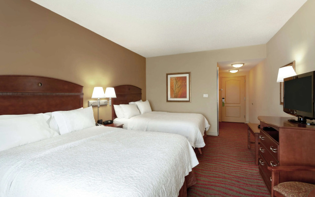 photo 3 of Hampton Inn & Suites Port Richey