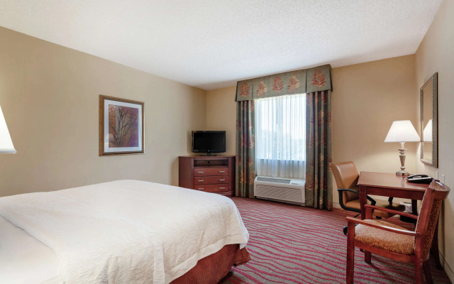 photo 4 of Hampton Inn & Suites Port Richey