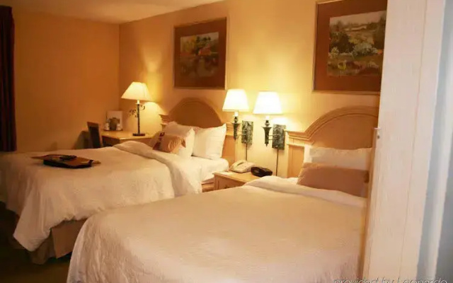 photo 4 of Hampton Inn Dallas-Arlington-DFW-Six Flags