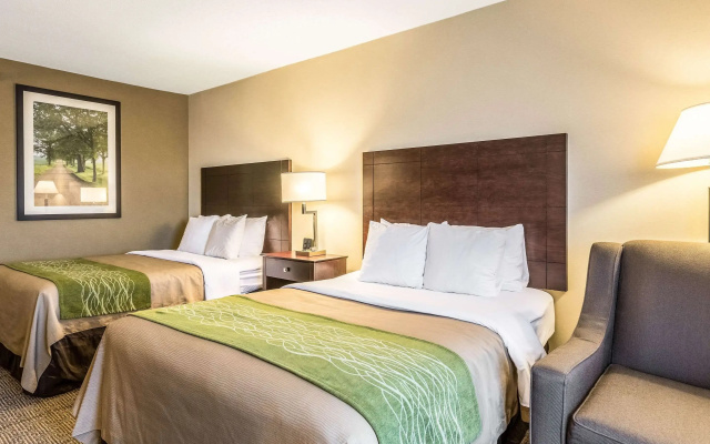 photo 3 of Comfort Inn Lansing West