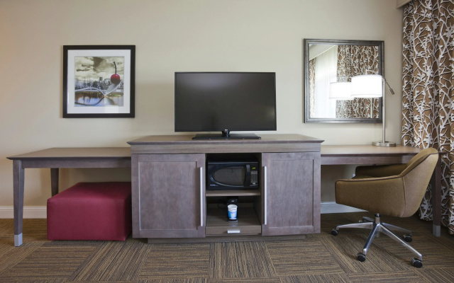 photo 3 of Hampton Inn Minneapolis-Roseville