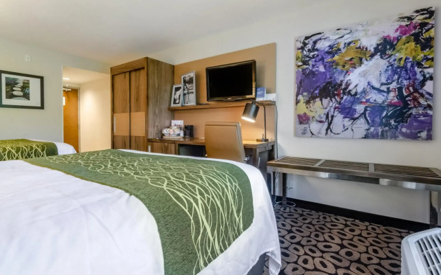 photo 3 of Comfort Inn Raleigh Midtown