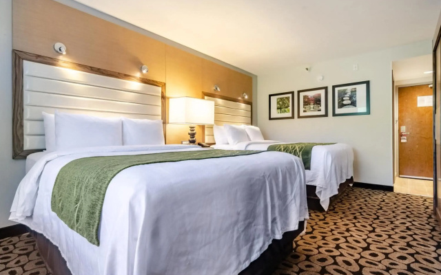 photo 4 of Comfort Inn Raleigh Midtown