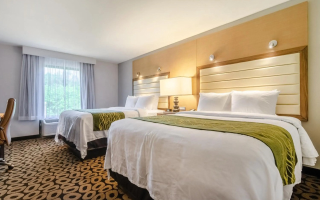 photo 5 of Comfort Inn Raleigh Midtown