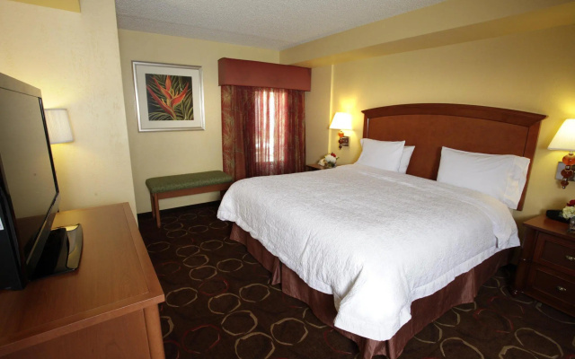 photo 4 of Hampton Inn Tropicana