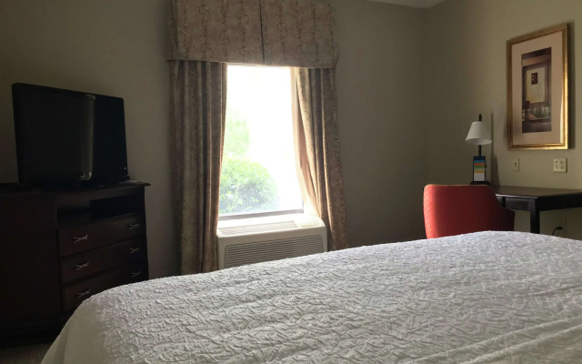 photo 4 of Hampton Inn Vidalia