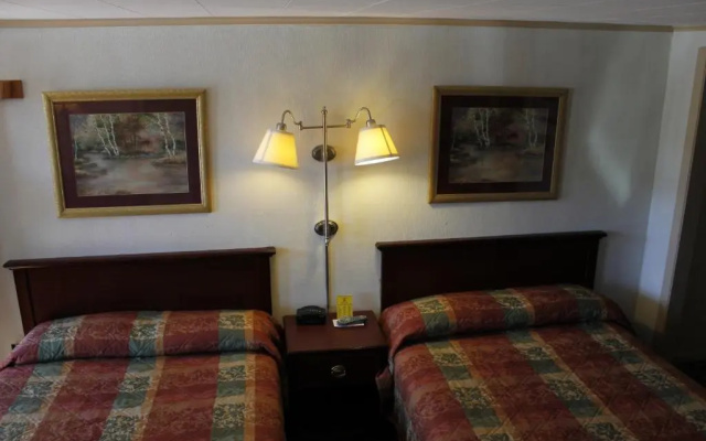 photo 4 of Happy Bear Motel