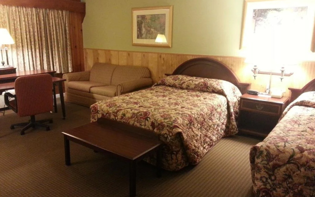 photo 2 of Heidi's Inn