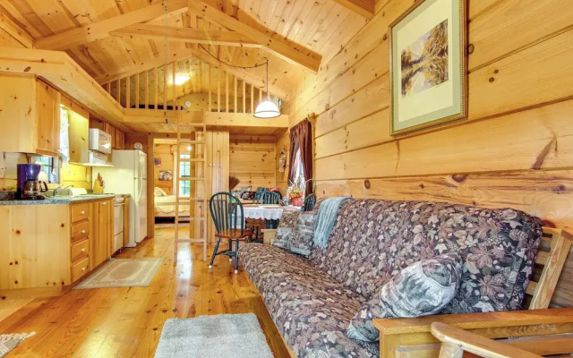 photo 3 of Hendersonville Cabin Near Hiking & Waterfalls!