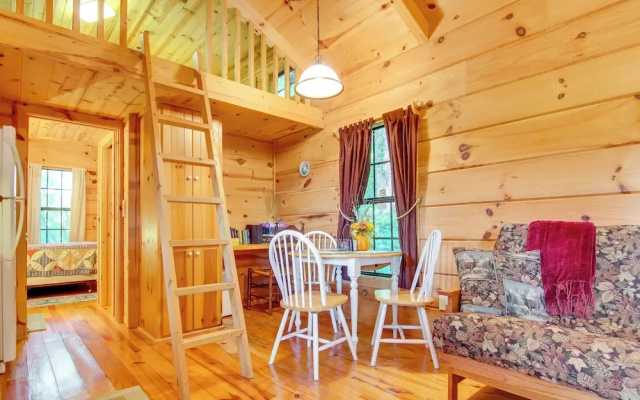 photo 4 of Hendersonville Creekside Cabin: Near Dupont Forest